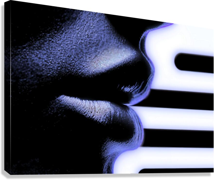 Seems Like a Lost Dream Canvas Print