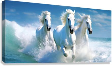 Seahorses Canvas Print