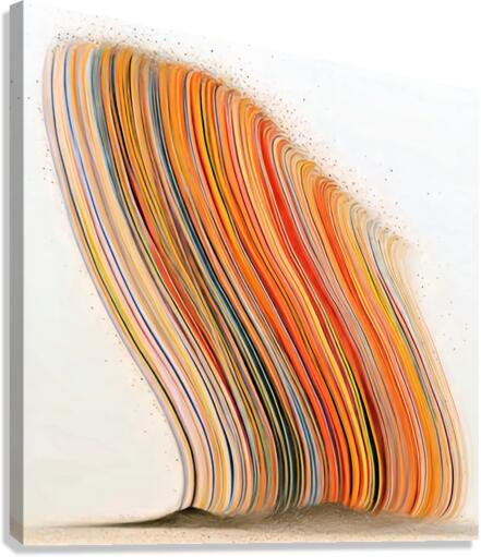 Wave of Color Canvas Print