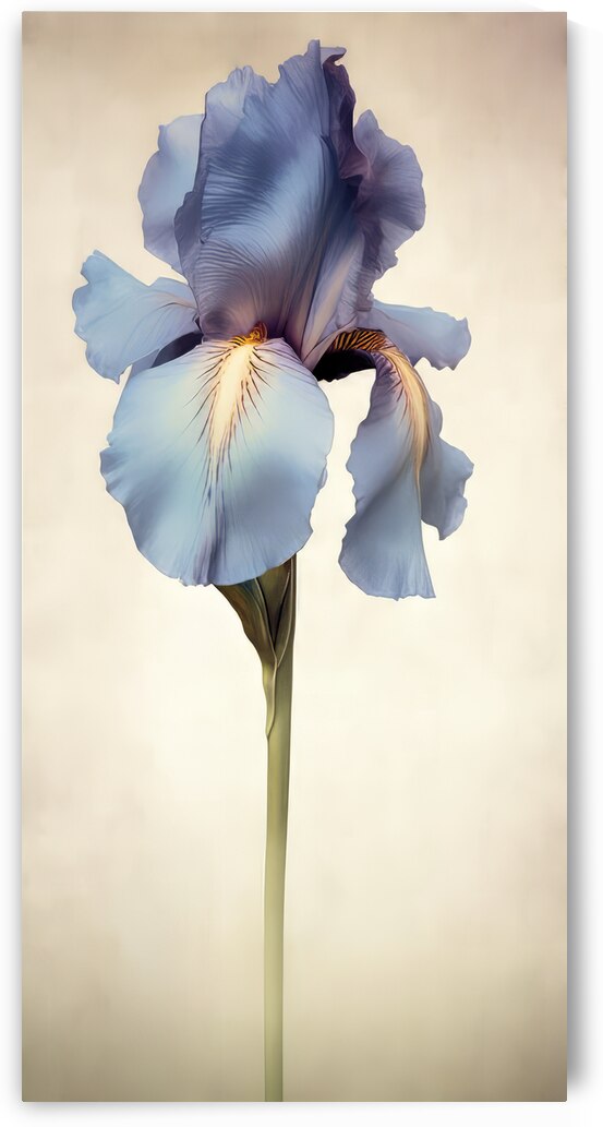 Blossom II by Art by BUCK