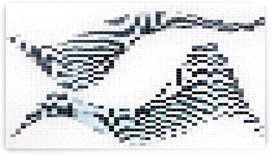 Sparsity by Art by BUCK