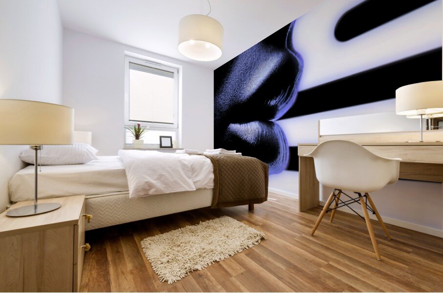 Seems Like a Lost Dream Mural print