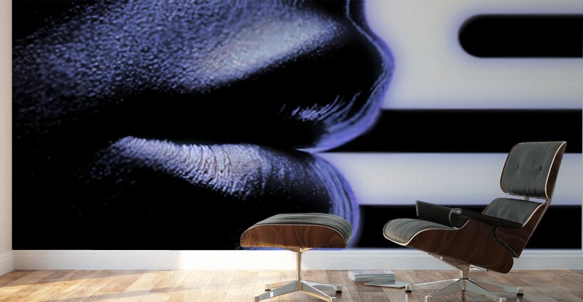 Seems Like a Lost Dream Wall Murals