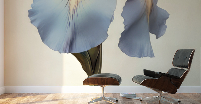 Blossom II Wall Murals