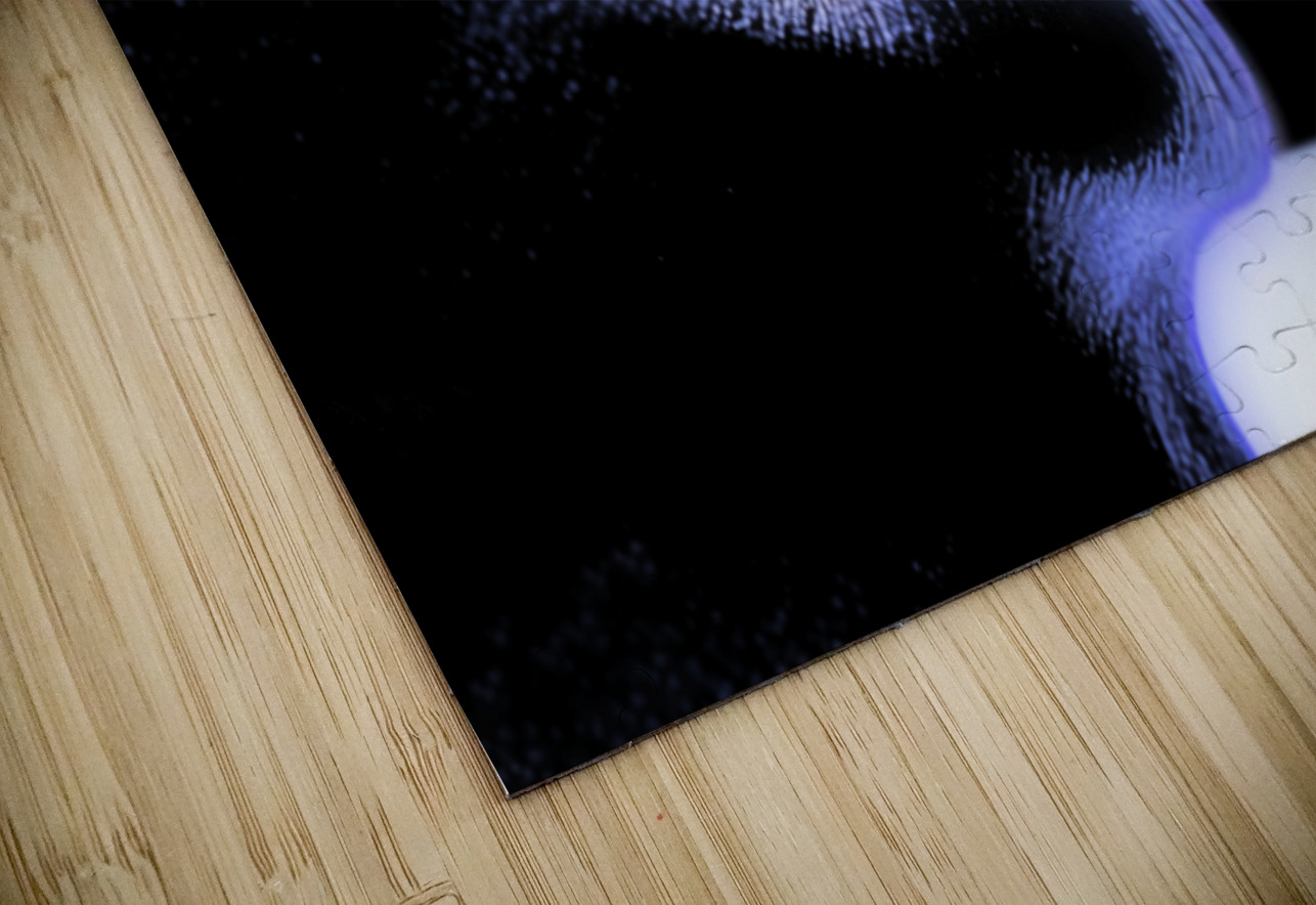 Seems Like a Lost Dream Art by BUCK Puzzle