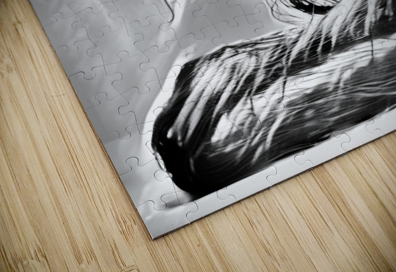 Wired Art by BUCK Puzzle